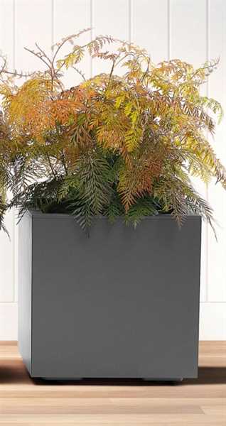 VASO CON RUOTE DA ESTERNO KEBE ANTRACITE CM40x40x40H