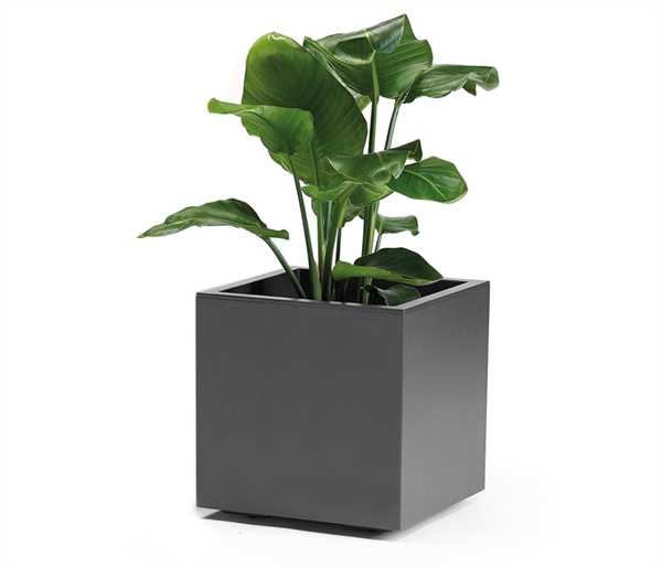 VASO CON RUOTE DA ESTERNO KEBE ANTRACITE CM40x40x40H