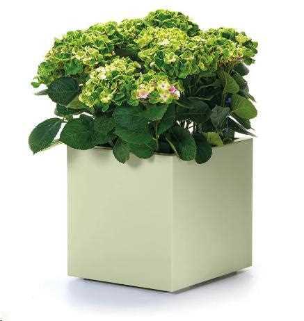 VASO CON RUOTE DA ESTERNO KEBE OASI CM40x40x40H