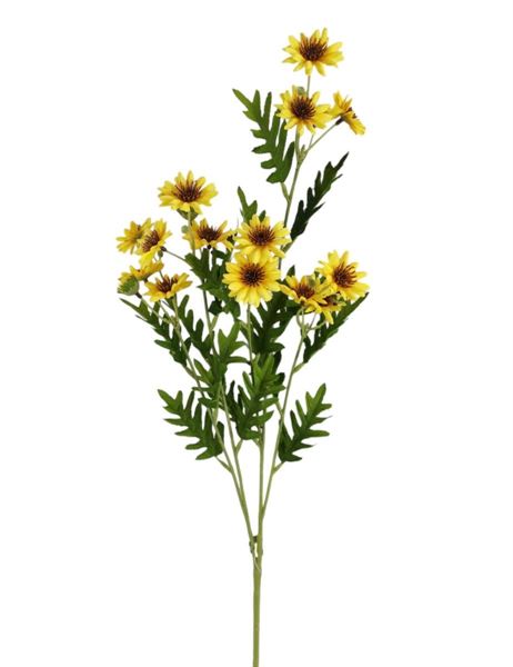 SETTEMBRINO SPRAY X4 87CM GIALLO