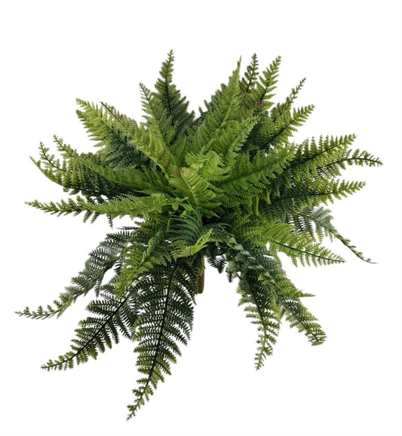 FELCE BUSH X36 43CM VERDE