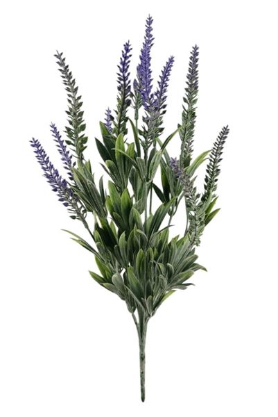 BUSH LAVANDA X12 49CM