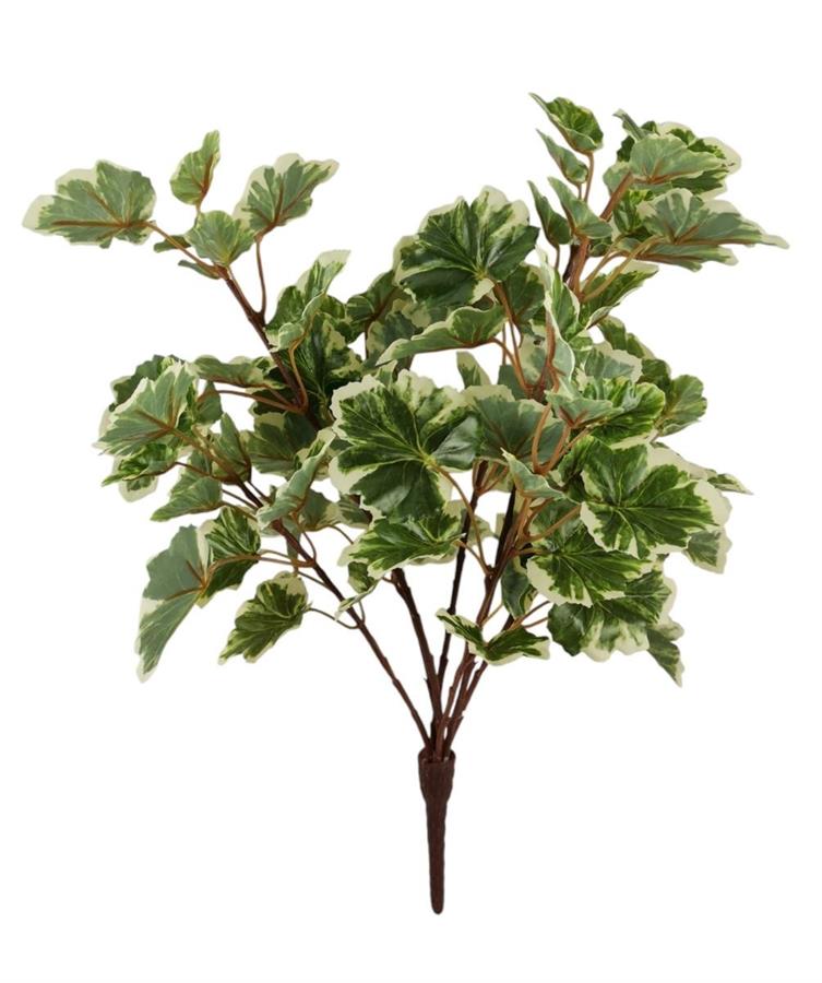 BEGONIA BUSH 84 S 40CM