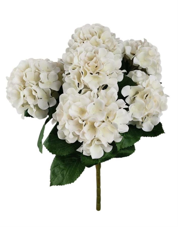 BUSH ORTENSIA X7 57CM CREMA