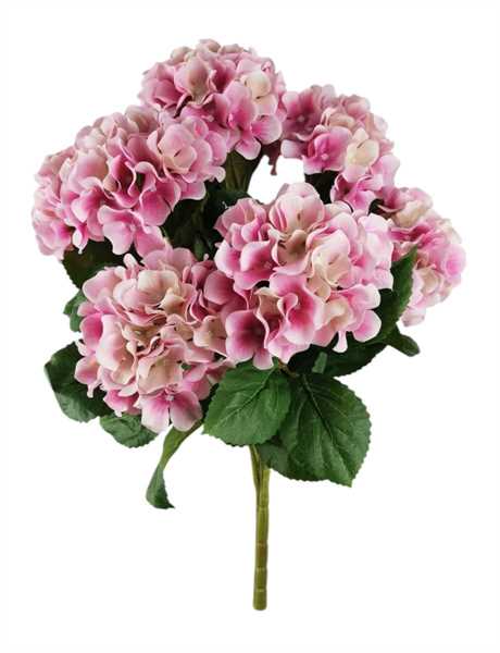 BUSH ORTENSIA X7 57CM ROSA