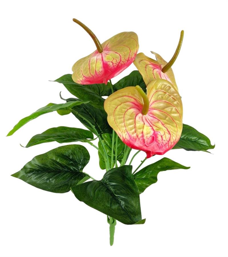 ANTHURIUM 3FL 12FG 54CM