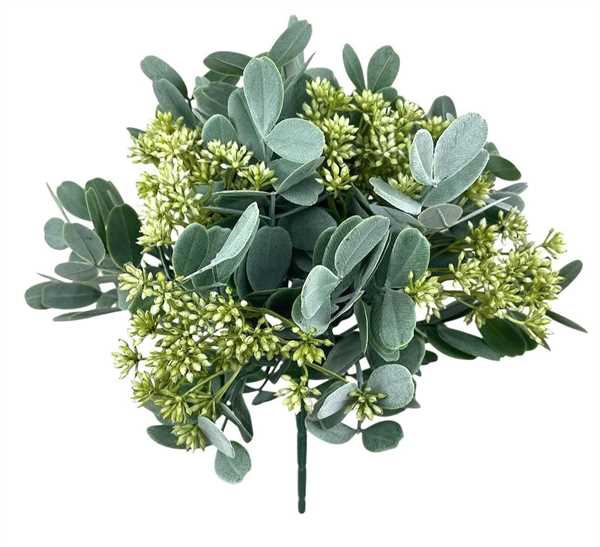 BUSH SUCCULENTA X5 27CM