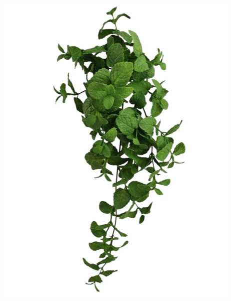 CADENTE MENTA X4 40CM