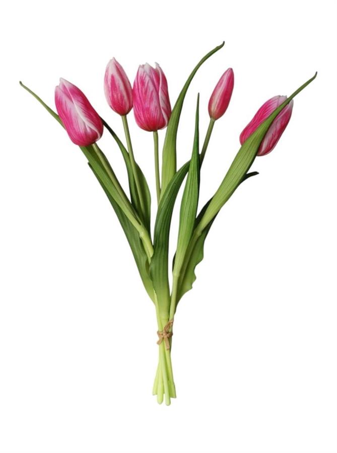 TULIPANO ENKELE BUNDLE X5 40CM BT