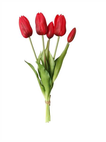 TULIPANO ENKELE BUNDLE X5 40CM ROSSO