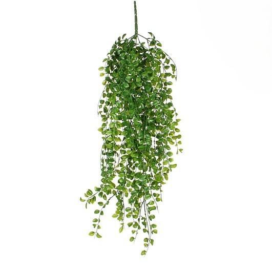 FICUS HANGING GREEN - L81XW24XH10CM