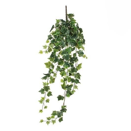 IVY HANGING GREEN VARIEGATED - L86XW22XH15CM