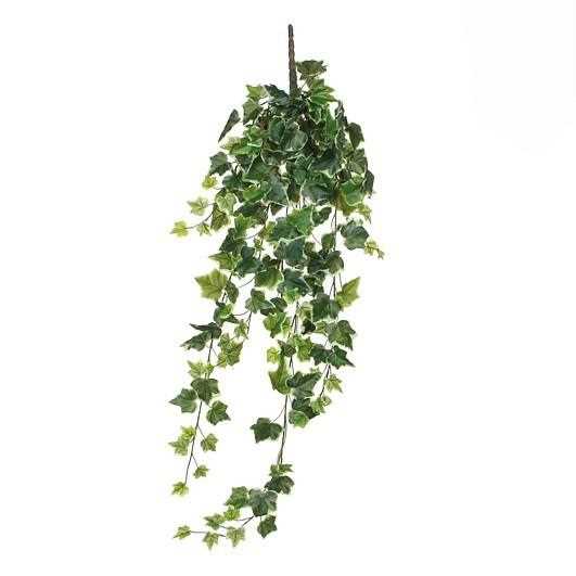 IVY HANGING GREEN VARIEGATED - L86XW22XH15CM