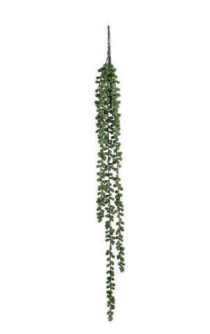 SENECIO HANGING GREEN - L71XW5XH5CM