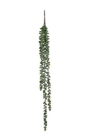 SENECIO HANGING GREEN - L71XW5XH5CM
