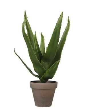 ALOE VERA GREEN IN POT STAN GREY D9CM - H30XD16CM