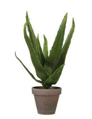 ALOE VERA GREEN IN POT STAN GREY D9CM - H30XD16CM
