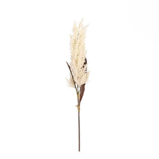 PAMPAS GRASS CREAM - L88CM