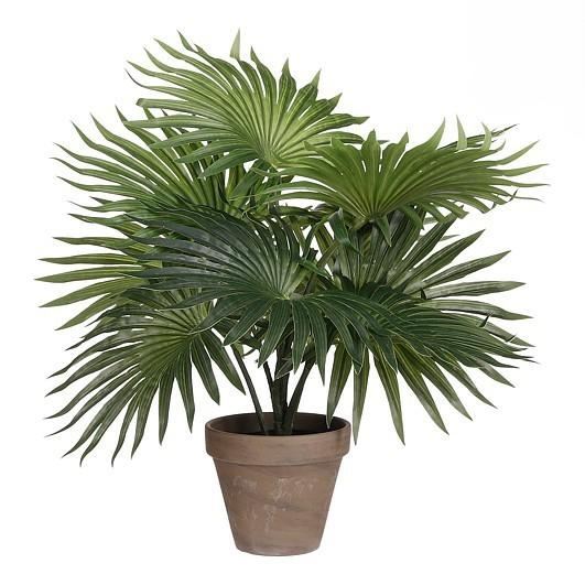 PALM GREEN IN POT STAN GREY D11,5CM - H40XD35CM