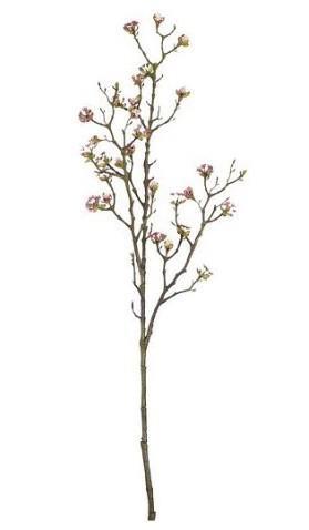 BERRYSPRAY PINK - L102CM 127581 BEAUTY