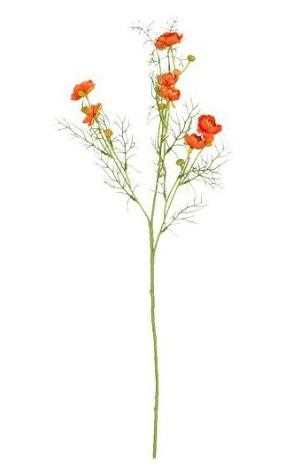 RANUNCULUS ORANGE - L74CM 127599 ORANGE02