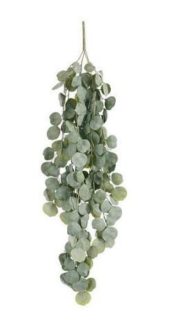 HOYA HANGING GREEN - L94XW33XH3CM