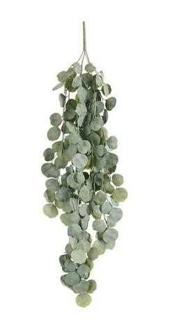 HOYA HANGING GREEN - L94XW33XH3CM