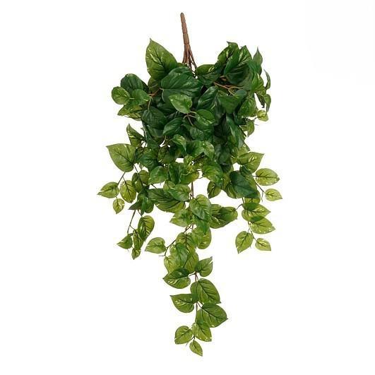 POTHOS HANGING GREEN WATERPROOF & UV RESISTANT - L80XW25XH5C
