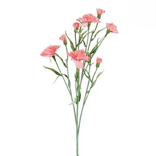 CARNATION SALMON - L71CM