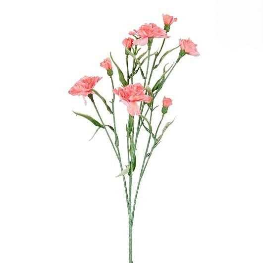 CARNATION SALMON - L71CM