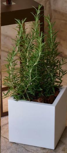 VASO KUBE AROMATIKA CM.18XH.18 BIANCO