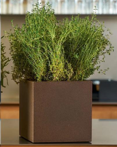 VASO KUBE AROMATIKA CM.18XH.18 RUGGINE