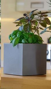 VASO KUBE AROMATIKA CM.18XH.18 TORTORA