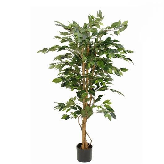 FICUS GREEN IN PLASTIC POT - H150XD85CM