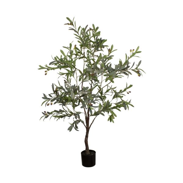 PIANTA OLIVO IN VASO 70X70X150CM