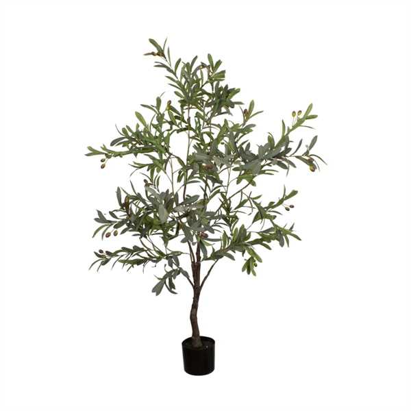 PIANTA OLIVO IN VASO 70X70X150CM