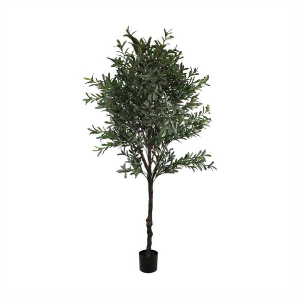 ALBERO OLIVO IN VASO 130X120X230CM