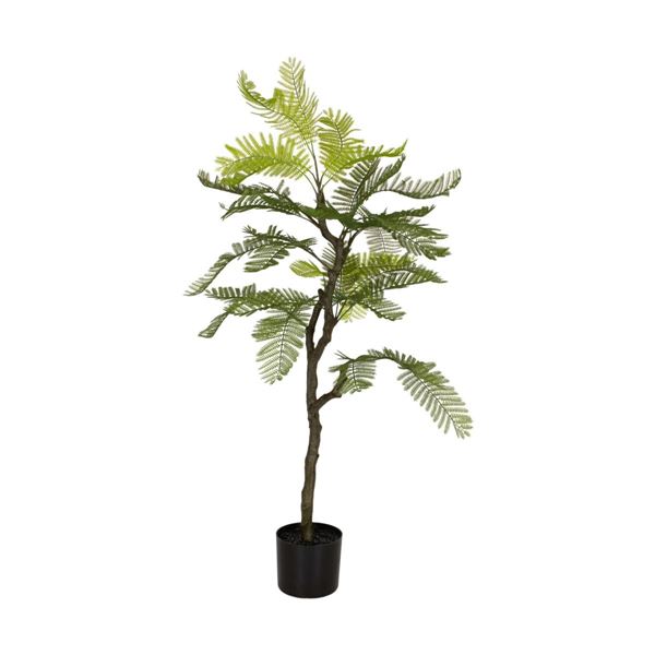 PIANTA FELCE IN VASO 120X55X55CM