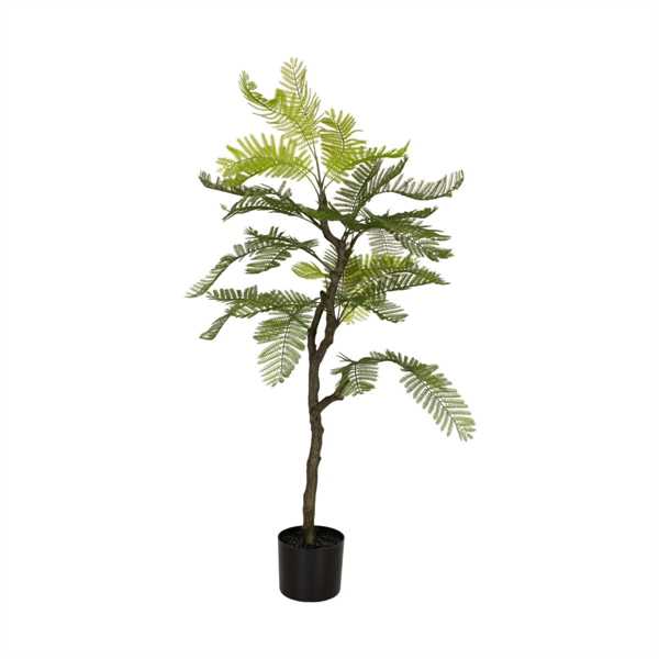 PIANTA FELCE IN VASO 120X55X55CM