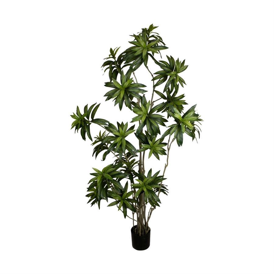 PIANTA BAMBOO IN VASO 90X90X210CM
