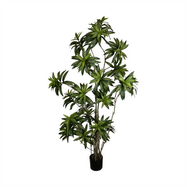 PIANTA BAMBOO IN VASO 90X90X210CM
