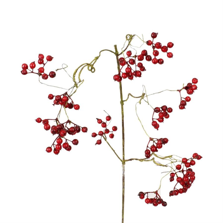 RAMO BACCHE 104X20X5CM