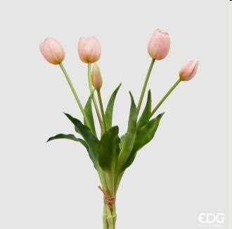 TULIPANO GOMM.OLIS MZ5PZH40(CHIUSI)C0 LT.PINK