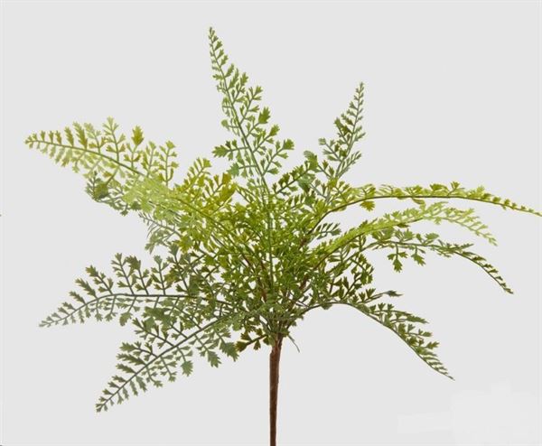 FELCE OLIS CM.45H GREEN