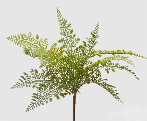 FELCE OLIS CM.45H GREEN