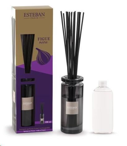 BOUQUET PROFUMATO INITIAL CON RICARICA 100ML FIGUE NOIRE