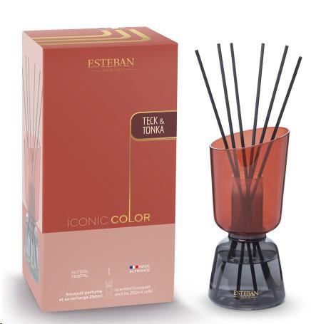 BOUQUET PROFUMATO ICONIC COLOR CON RIC. 250ML TECK & TONKA