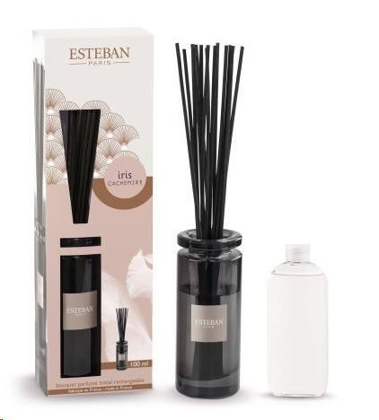 BOUQUET PROFUMATO INITIAL CON RICARICA 100ML IRIS CACHEMIRE