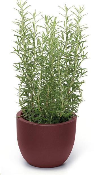 VASO ETRIA UNO MATERIKA PLASTICA RIC. CM.D24XH.20 LAVA