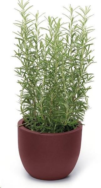 VASO ETRIA UNO MATERIKA PLASTICA RIC. CM.D24XH.20 LAVA